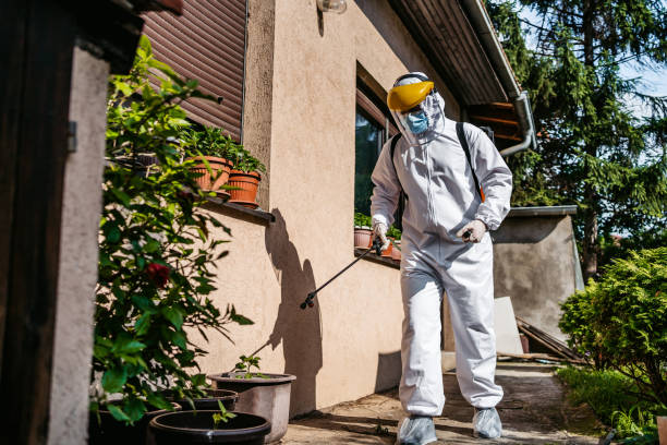 Best Pest Control Near Me in Cottonwood Heights, UT