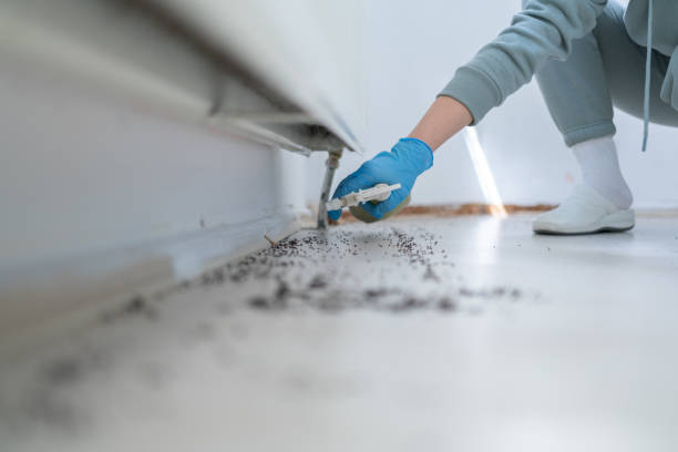 Pest Control Cost in Cottonwood Heights, UT